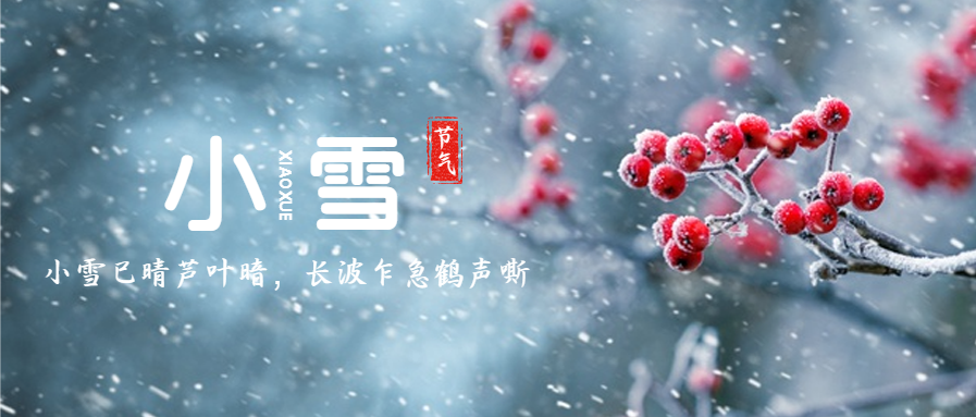 简约实景小雪节气微信公众号首图