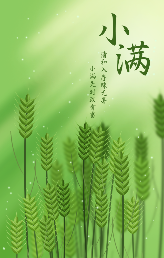 小满节气清新唯美插画手机海报