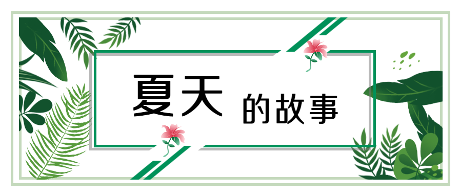 夏天的故事清新植物公众号首图