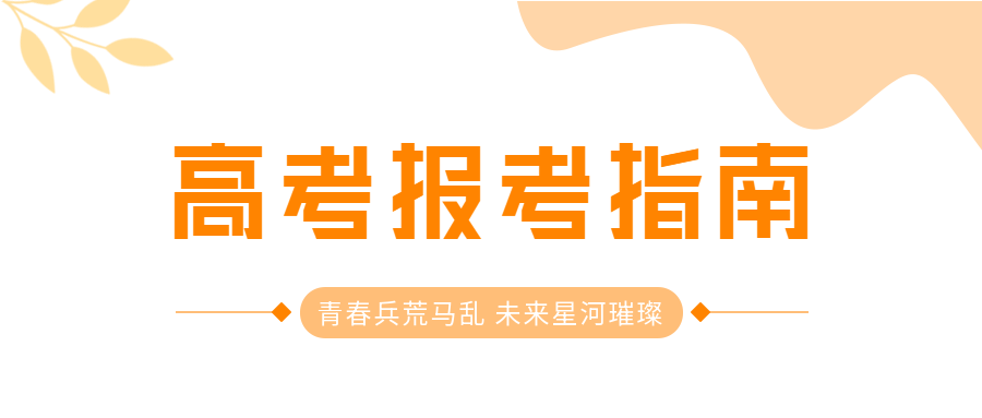 简约简洁高考报考指南技巧微信公众号首图