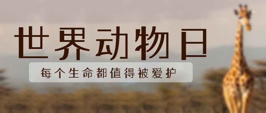 非洲大草原上的长颈鹿世界动物日微信公众号首图