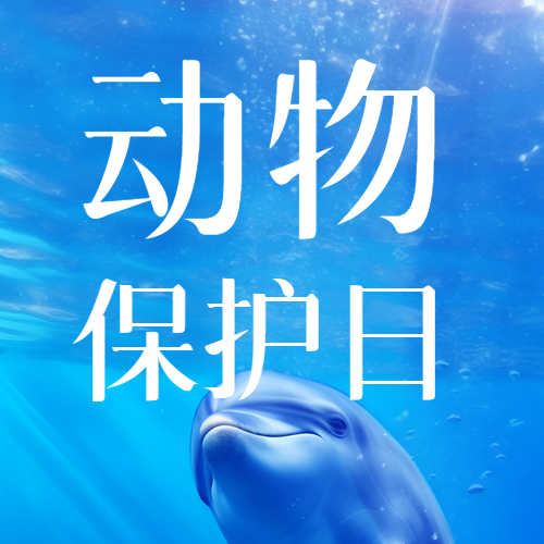 海洋中的海豚动物保护日实景微信公众号次图