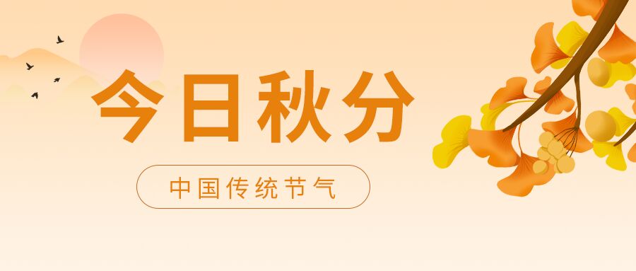 今日秋分二十四节气秋分银杏叶日落大雁公众号首图