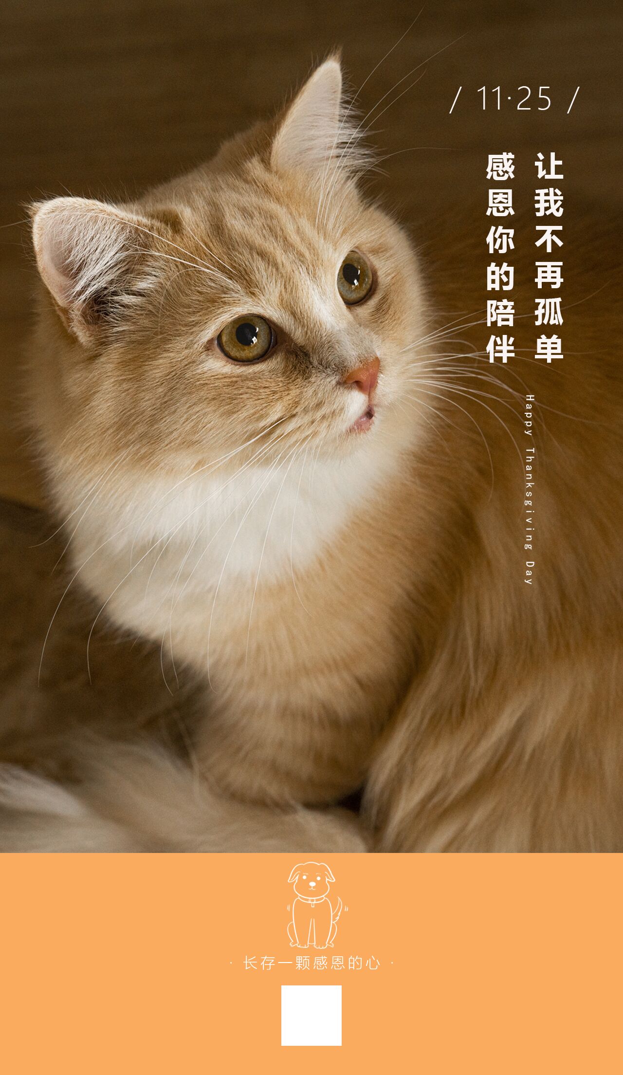 小猫陪伴宠物推广宣传手机海报