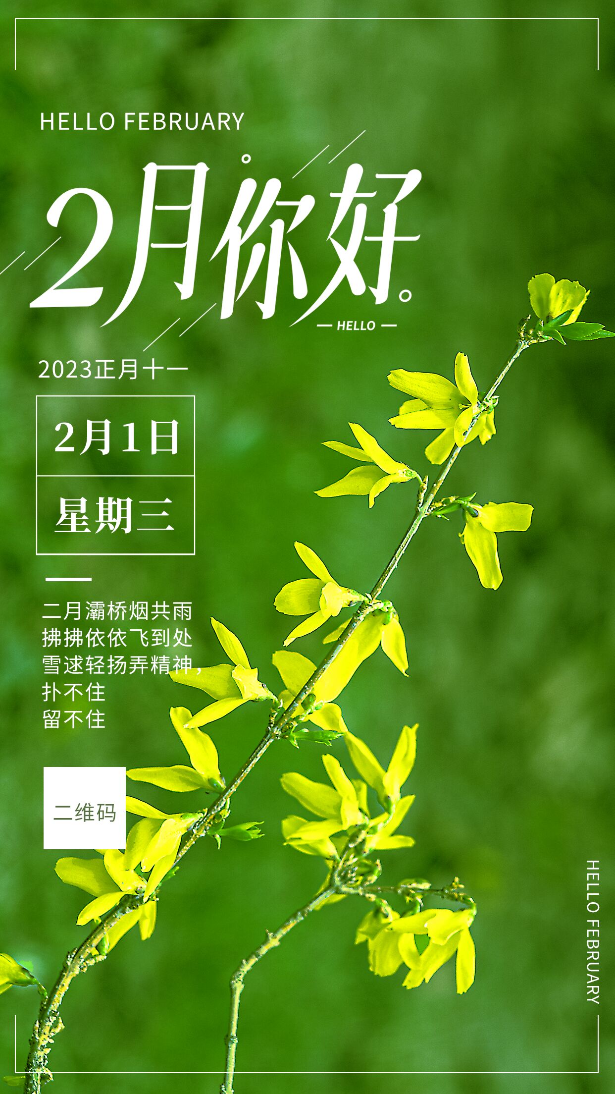 2月你好迎春花开推广宣传手机海报